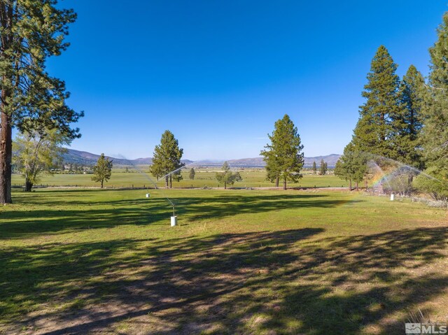 6995 Franktown Rd, Washoe Valley, NV 89704 - photo 36