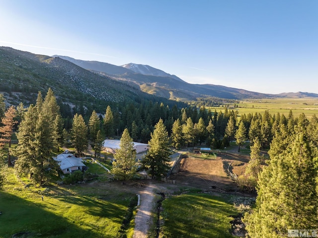 6995 Franktown Rd, Washoe Valley, NV 89704 - photo 11
