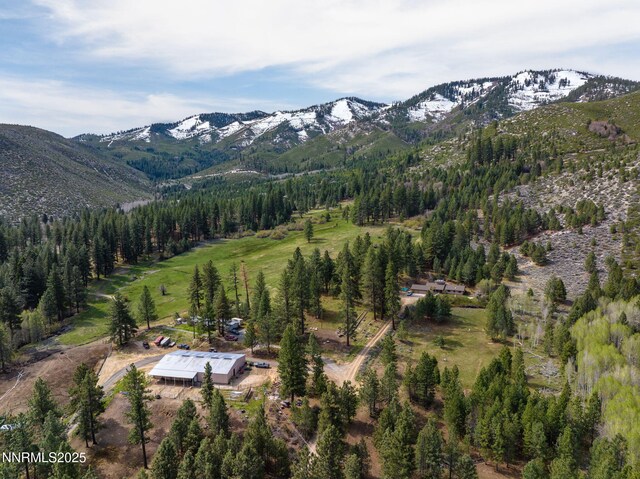 6995 Franktown Rd, Washoe Valley, NV 89704 - photo 1