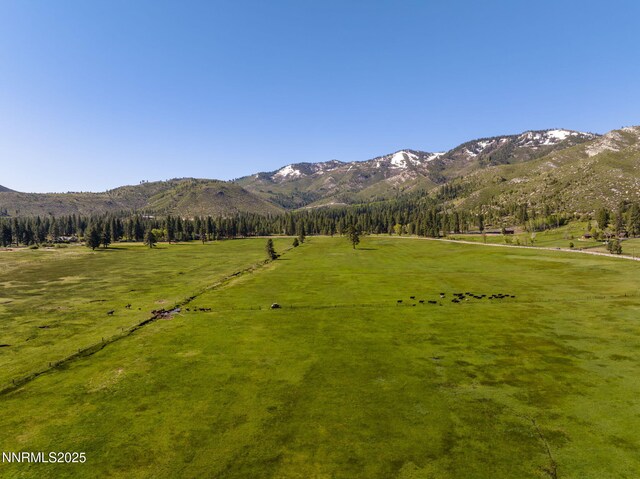 6995 Franktown Rd, Washoe Valley, NV 89704 - photo 38