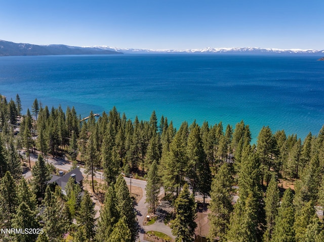 106 Slott Peak Ct, Incline Village, NV 89451 - photo 49