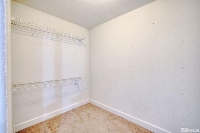 250 Corral Dr, Dayton, NV 89403 - spacious closet featuring light carpet