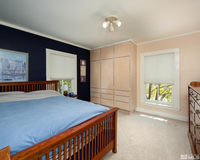 308 Thompson, Carson City, NV 89703 - bedroom featuring ornamental molding and light carpet
