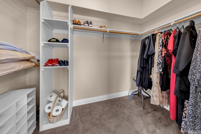 785 Sarcinella Ct, Reno, NV 89509 - walk in closet with carpet