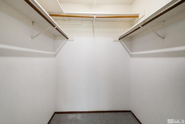 4545 Reggie Rd, Reno, NV 89502 - walk in closet with carpet flooring