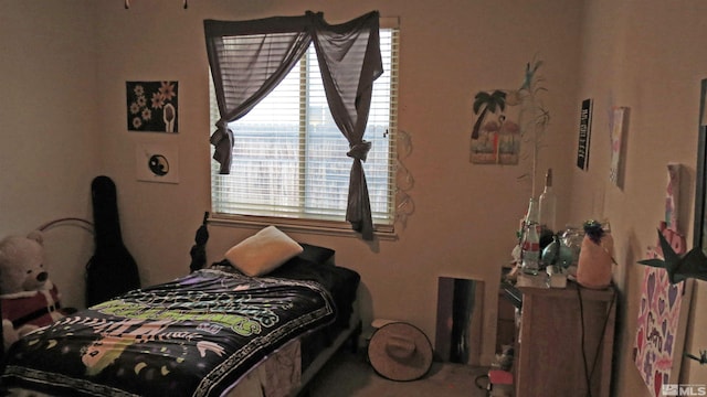 201 Crown Point Dr, Dayton, NV 89403 - view of carpeted bedroom