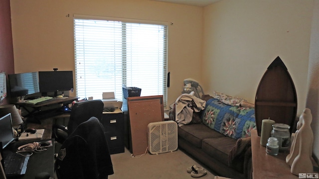201 Crown Point Dr, Dayton, NV 89403 - carpeted office with healthy amount of natural light