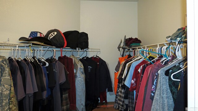 201 Crown Point Dr, Dayton, NV 89403 - view of spacious closet