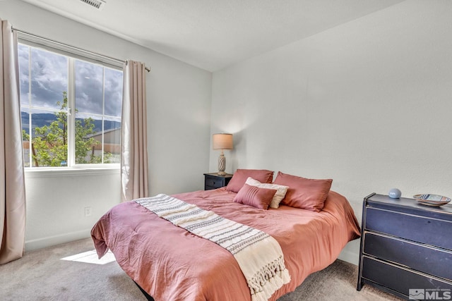 103 Pilot Peak, Carson City, NV 89701 - carpeted bedroom featuring multiple windows and baseboards