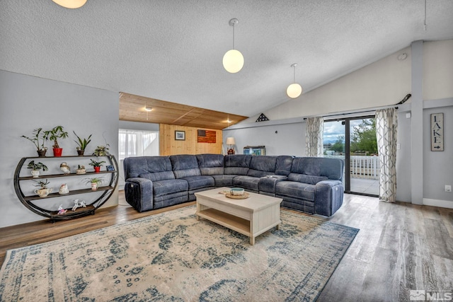 1131 Linda Anne Ct, Gardnerville, NV 89410 - living room featuring wood finished floors, a textured ceiling, and vaulted ceiling