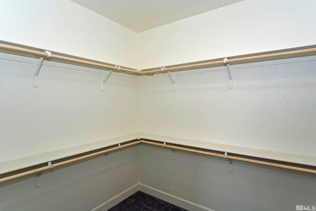 2091 Forest Grove Ln, Sparks, NV 89436 - view of walk in closet