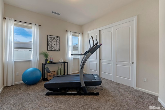 workout room featuring carpet flooring, healthy amount of natural light, and baseboards