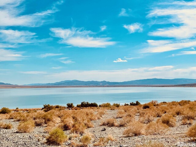 220 Pamela Dr, Walker Lake, NV 89415 - water view with a mountainous background