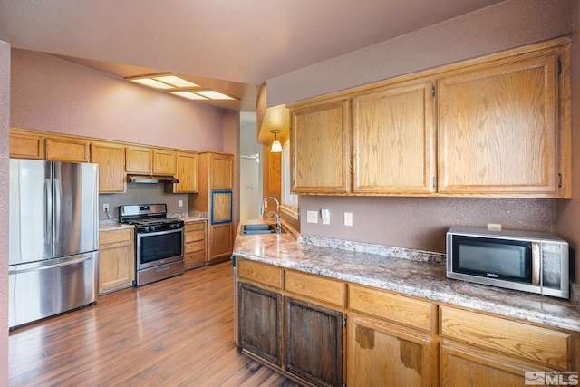 123 River Village Cir, Dayton, NV 89403 - kitchen featuring appliances with stainless steel finishes, a sink, wood finished floors, and under cabinet range hood