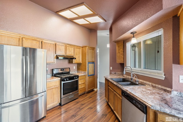 123 River Village Cir, Dayton, NV 89403 - kitchen with stainless steel appliances, a sink, under cabinet range hood, dark wood-type flooring, and a textured wall