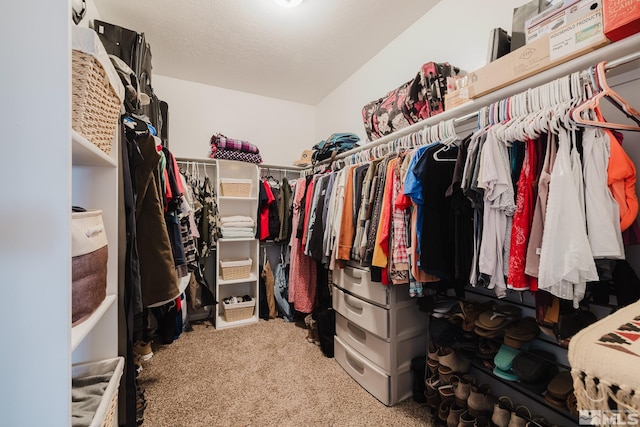 748 Thistle Dr, Spring Creek, NV 89815 - walk in closet with carpet