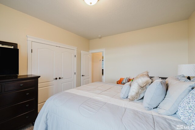 748 Thistle Dr, Spring Creek, NV 89815 - view of bedroom