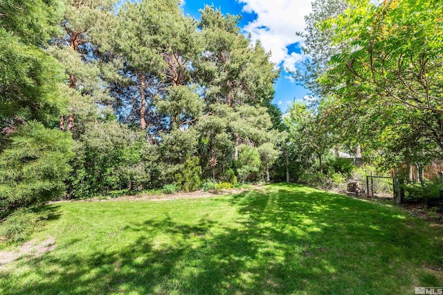 12565 Creek Crest Dr, Reno, NV 89511 - view of yard