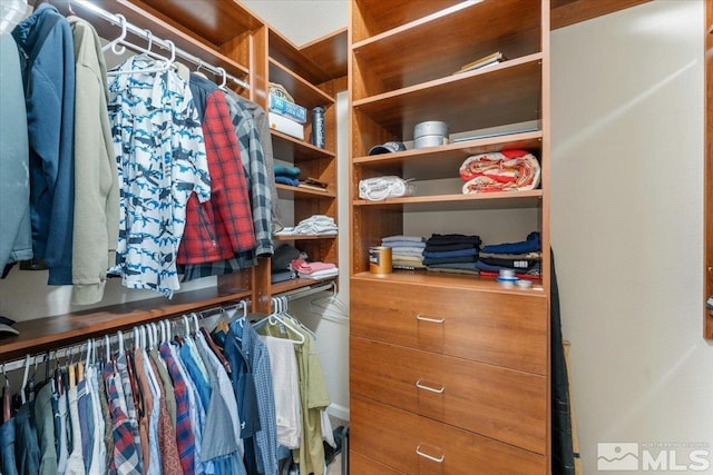 9185 Raytheon Ct, Reno, NV 89506 - view of walk in closet