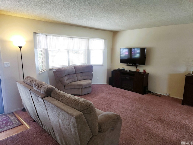 17385 Egret Ln, Reno, NV 89508 - carpeted living room featuring a textured ceiling