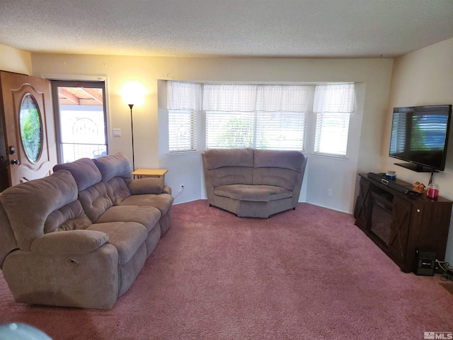 17385 Egret Ln, Reno, NV 89508 - carpeted living room featuring a textured ceiling
