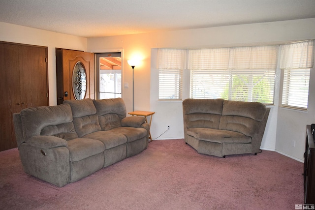 17385 Egret Ln, Reno, NV 89508 - carpeted living area featuring plenty of natural light