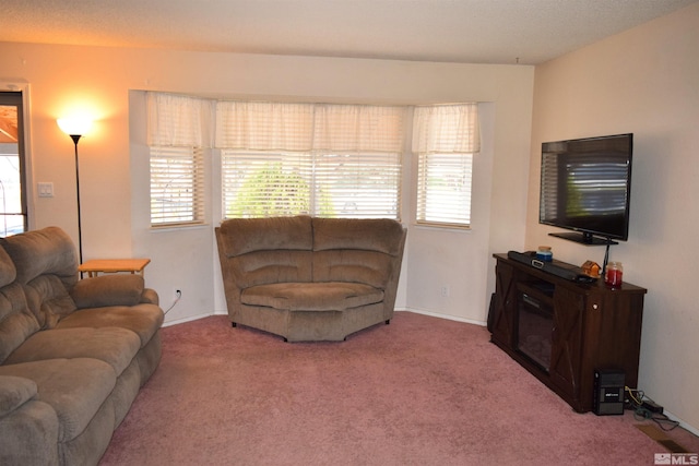 17385 Egret Ln, Reno, NV 89508 - living room with carpet and baseboards