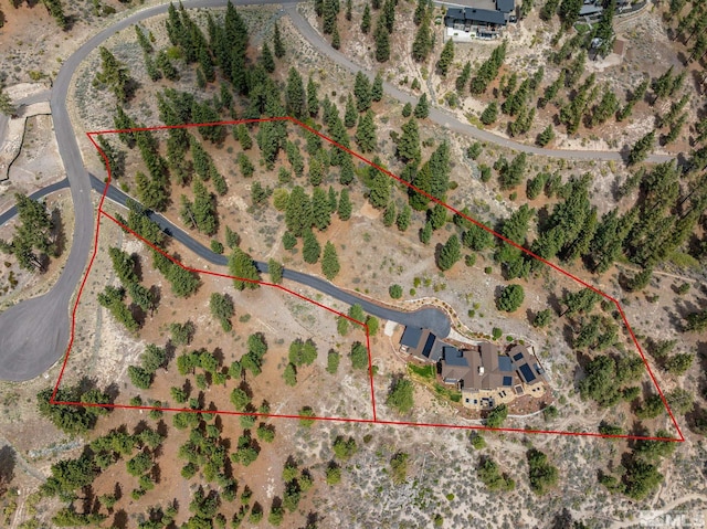 3513 Cutoff Trl, Carson City, NV 89705 - photo 39
