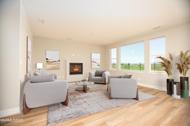 620 Sage Grouse Lp, Gardnerville, NV 89460 - living room featuring wood finished floors, a glass covered fireplace, and baseboards