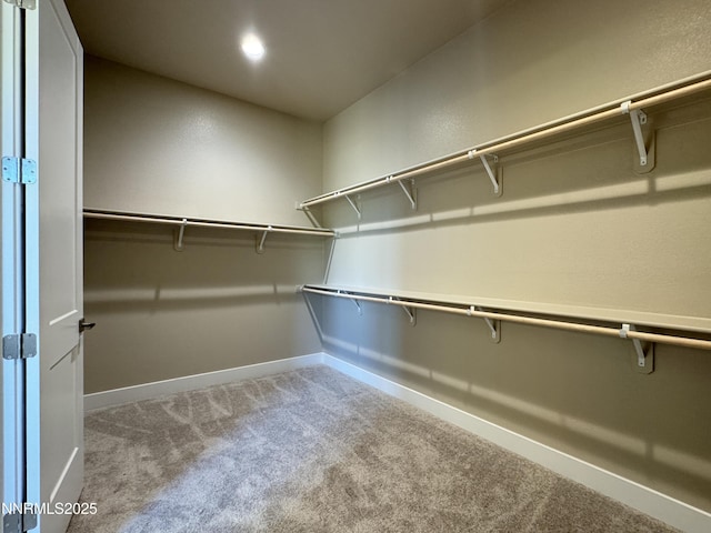 638 Sage Grouse Lp, Gardnerville, NV 89460 - spacious closet featuring carpet