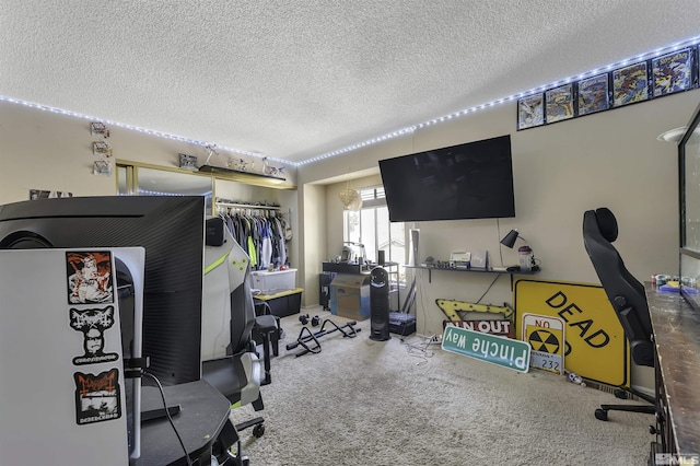 1064 Bradley Sq, Sparks, NV 89434 - exercise room with a textured ceiling and carpet floors