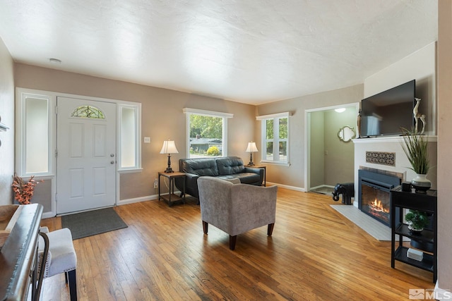 2066 Plumas St, Reno, NV 89509 - living room with light wood-type flooring, a fireplace with flush hearth, and baseboards