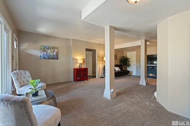 2066 Plumas St, Reno, NV 89509 - carpeted living area with a glass covered fireplace