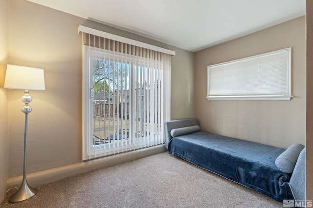 2066 Plumas St, Reno, NV 89509 - bedroom featuring carpet flooring