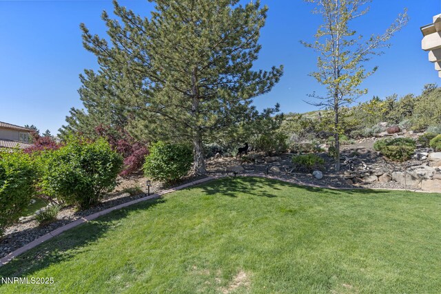 10286 Morning Song Trl, Reno, NV 89511 - view of green lawn
