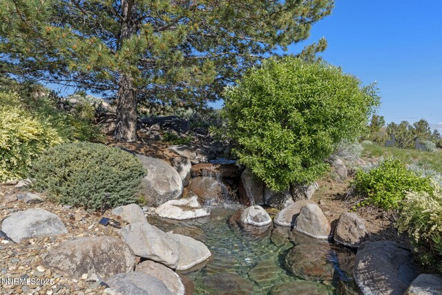 10286 Morning Song Trl, Reno, NV 89511 - view of yard