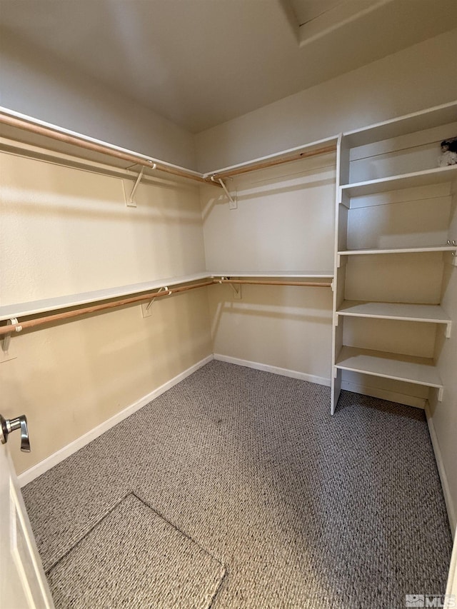 5740 Sarah Rd, Fallon, NV 89406 - spacious closet with carpet floors