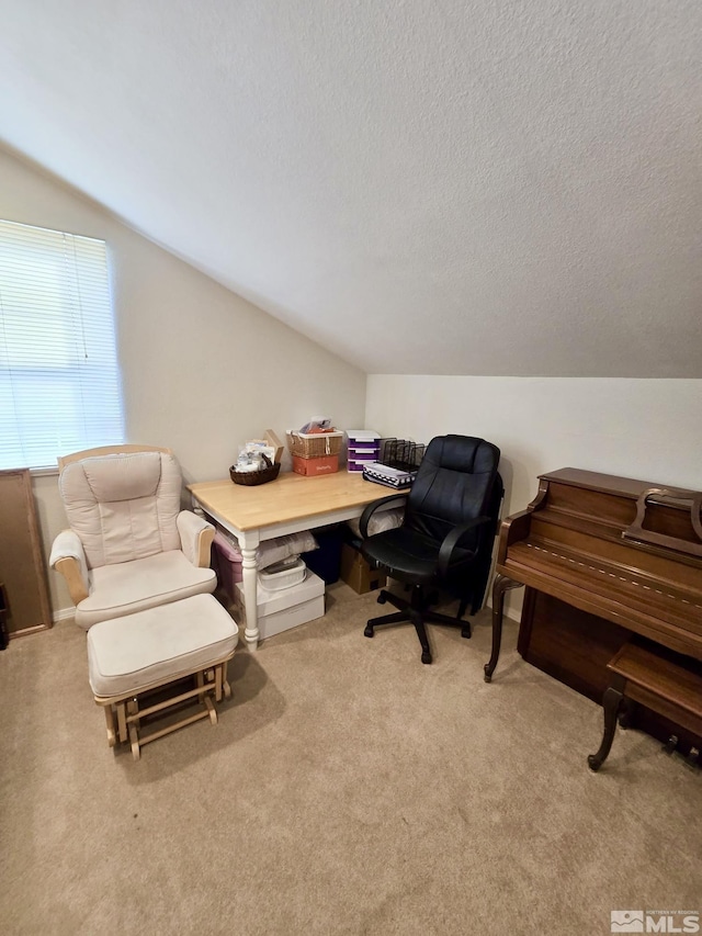 961 Ruddy Ct, Sparks, NV 89441 - carpeted office with lofted ceiling and a textured ceiling