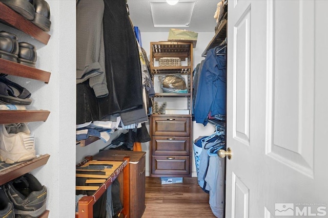 walk in closet featuring wood finished floors