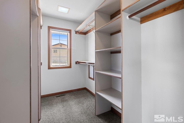 3021 Conte Dr, Carson City, NV 89701 - photo 31