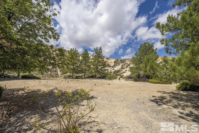 2190 Canyon Mesa Ct, Reno, NV 89523 - view of yard