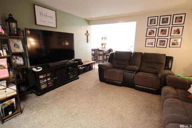 435 Shipley Dr, Yerington, NV 89447 - living area with carpet