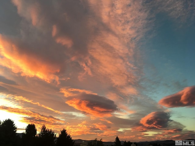 3425 Skyline Blvd, Reno, NV 89509 - view of nature at dusk