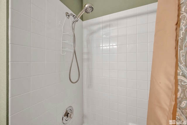 5245 Canyon View Dr, Sparks, NV 89436 - bathroom with tiled shower