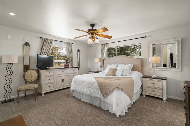 4800 Amy Rd, Reno, NV 89510 - bedroom with baseboards, dark colored carpet, and a ceiling fan
