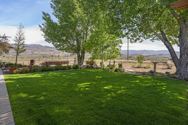 4800 Amy Rd, Reno, NV 89510 - view of grassy yard featuring a mountain view
