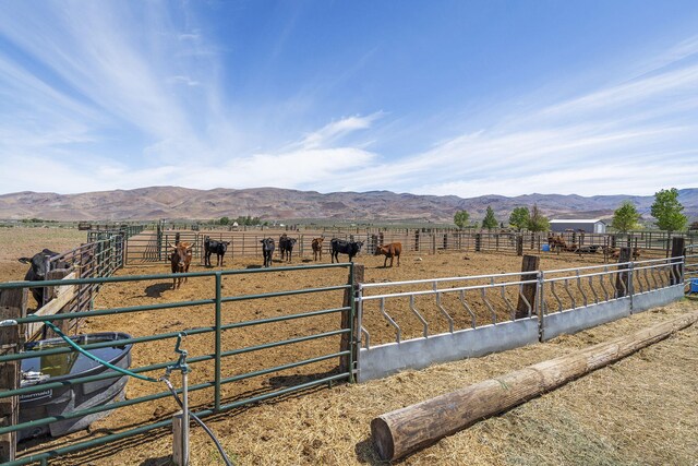 4800 Amy Rd, Reno, NV 89510 - mountain view featuring rural landscape and agricultural land