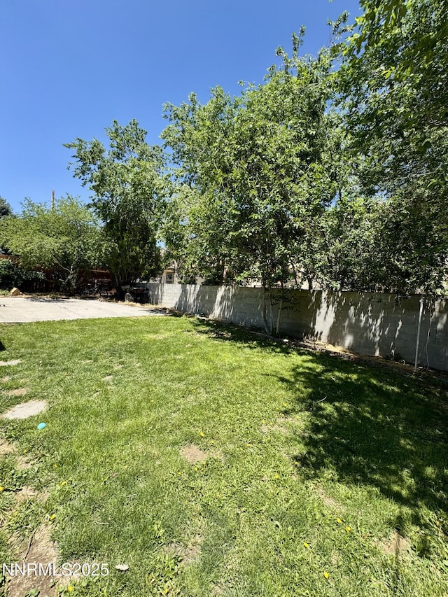 50 Bellevue Ave, Winnemucca, NV 89445 - view of yard