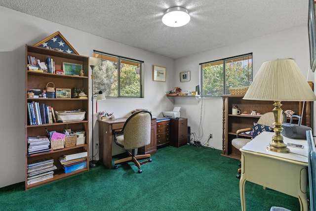 295 Andrew Ln, Reno, NV 89521 - carpeted home office featuring plenty of natural light and a textured ceiling