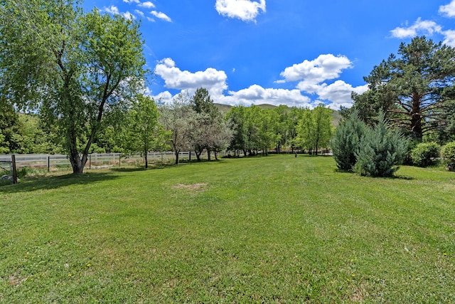 295 Andrew Ln, Reno, NV 89521 - view of yard